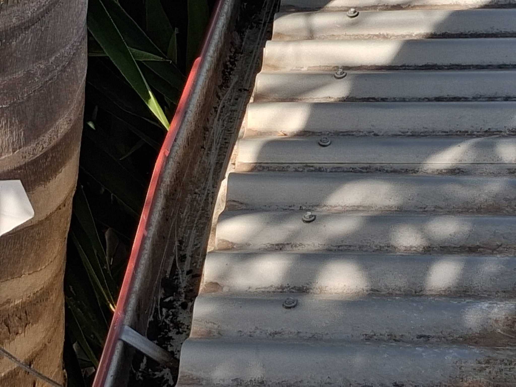 Customers gutter in Maryborough after clean