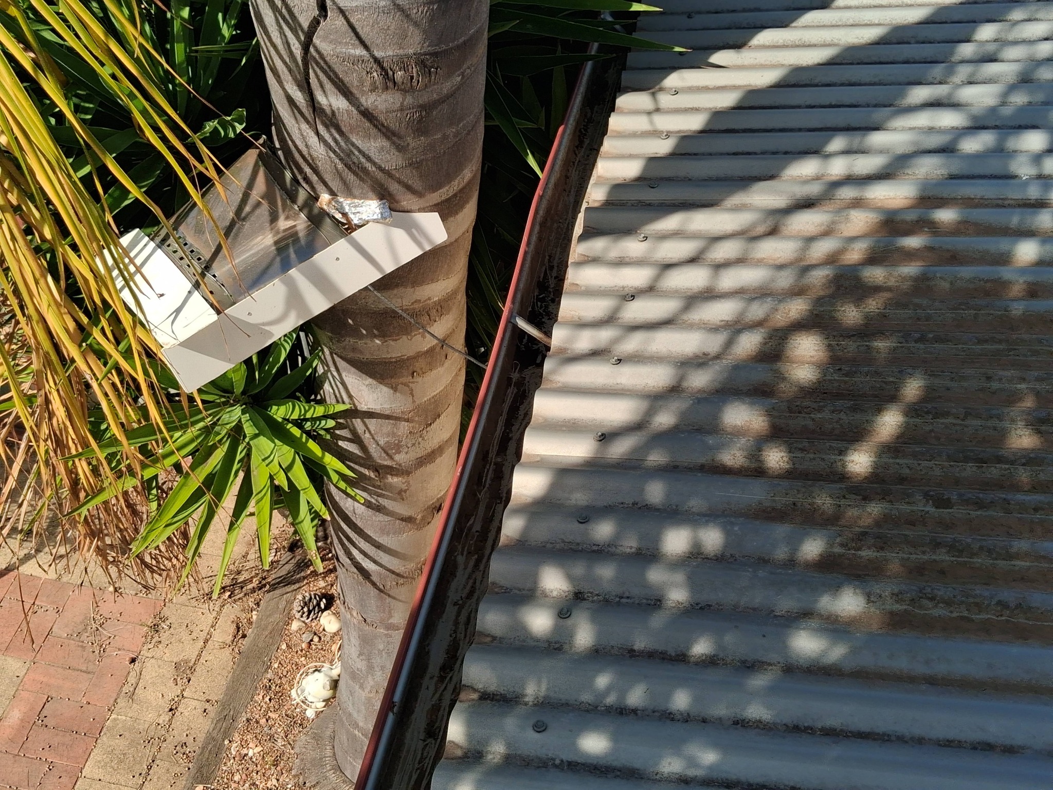 Customers gutter in Maryborough after clean image 2