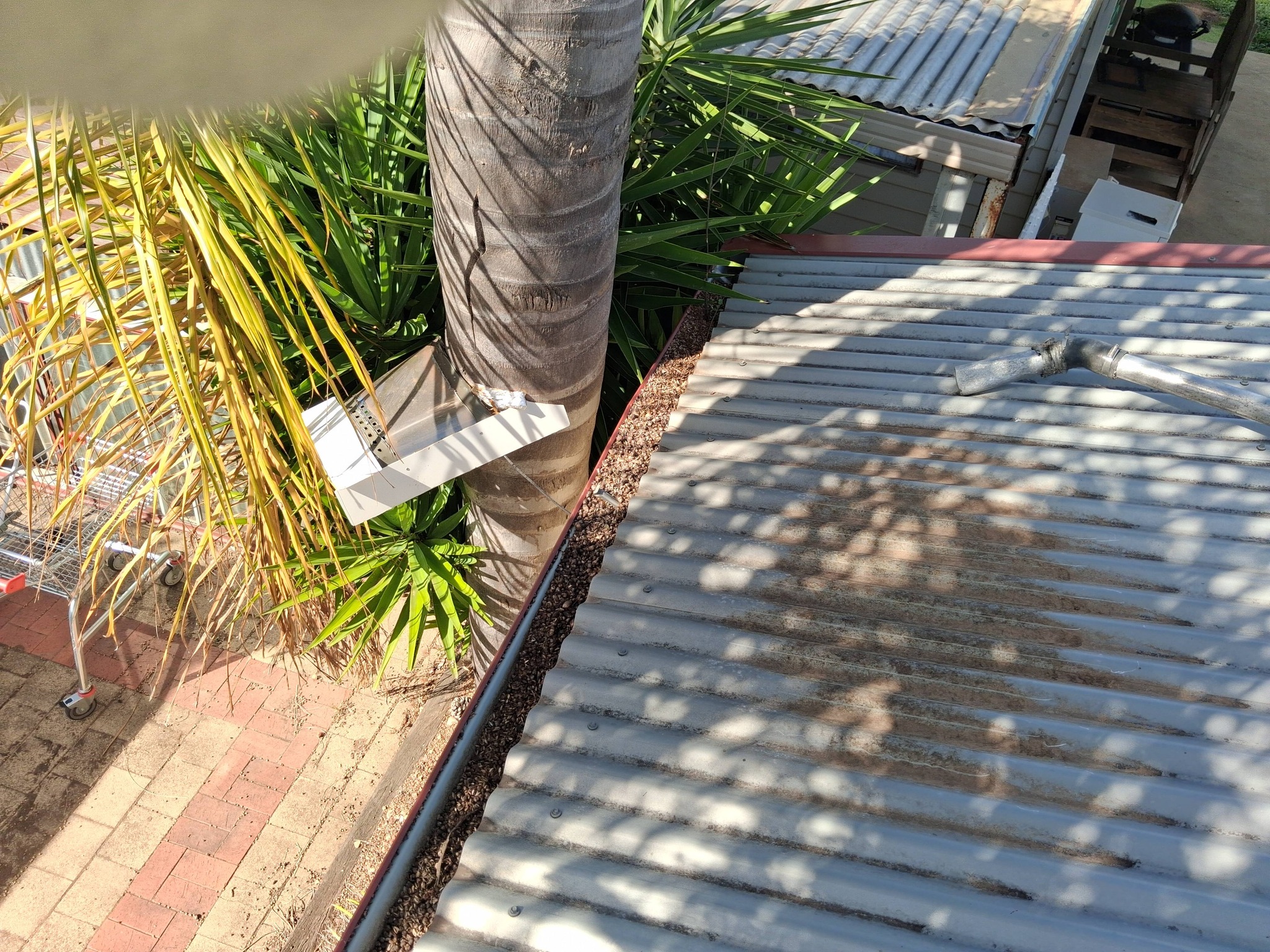 Customers gutter in Maryborough before clean image 2