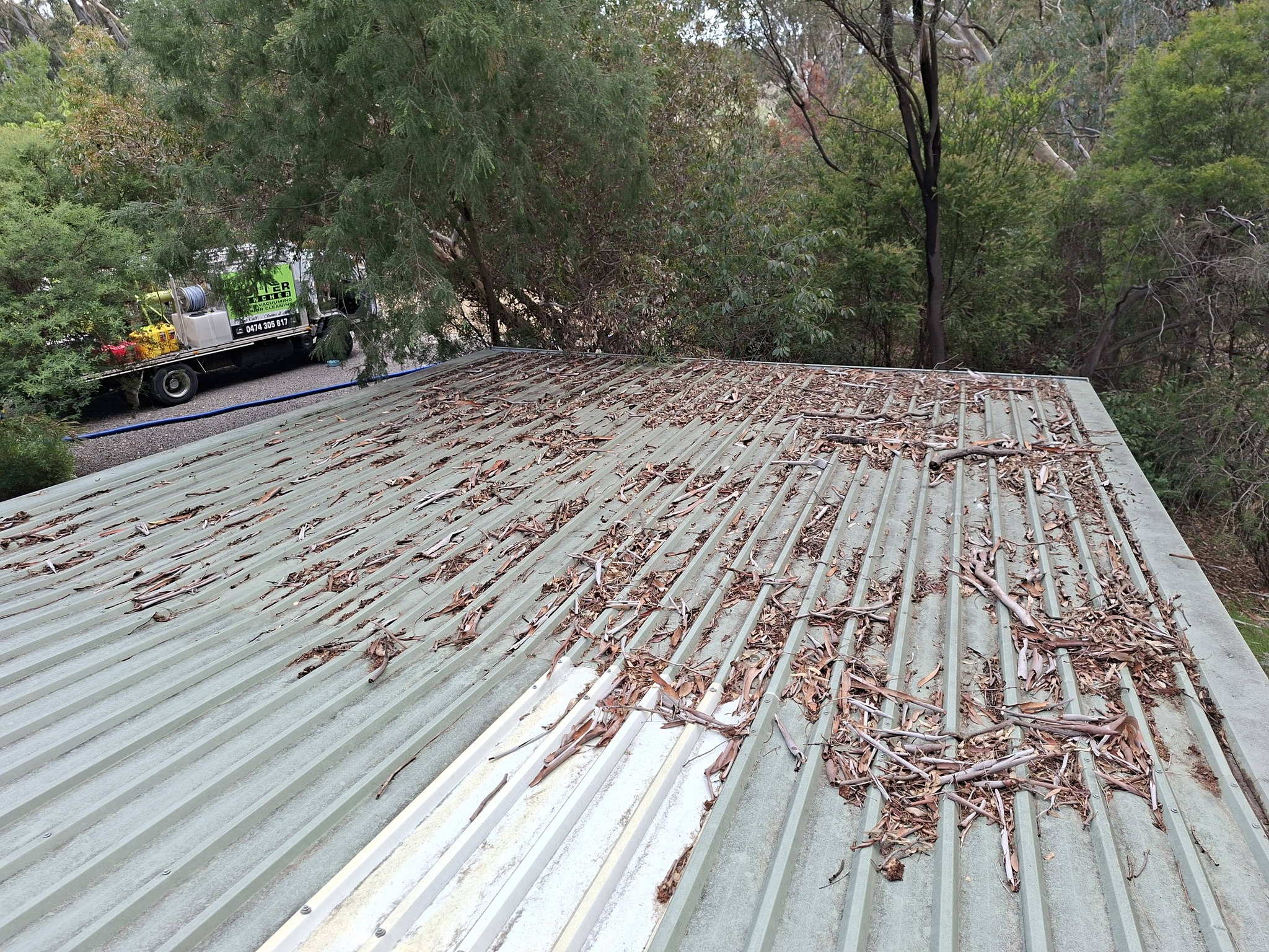 Roof and Gutter Clean Castlemaine