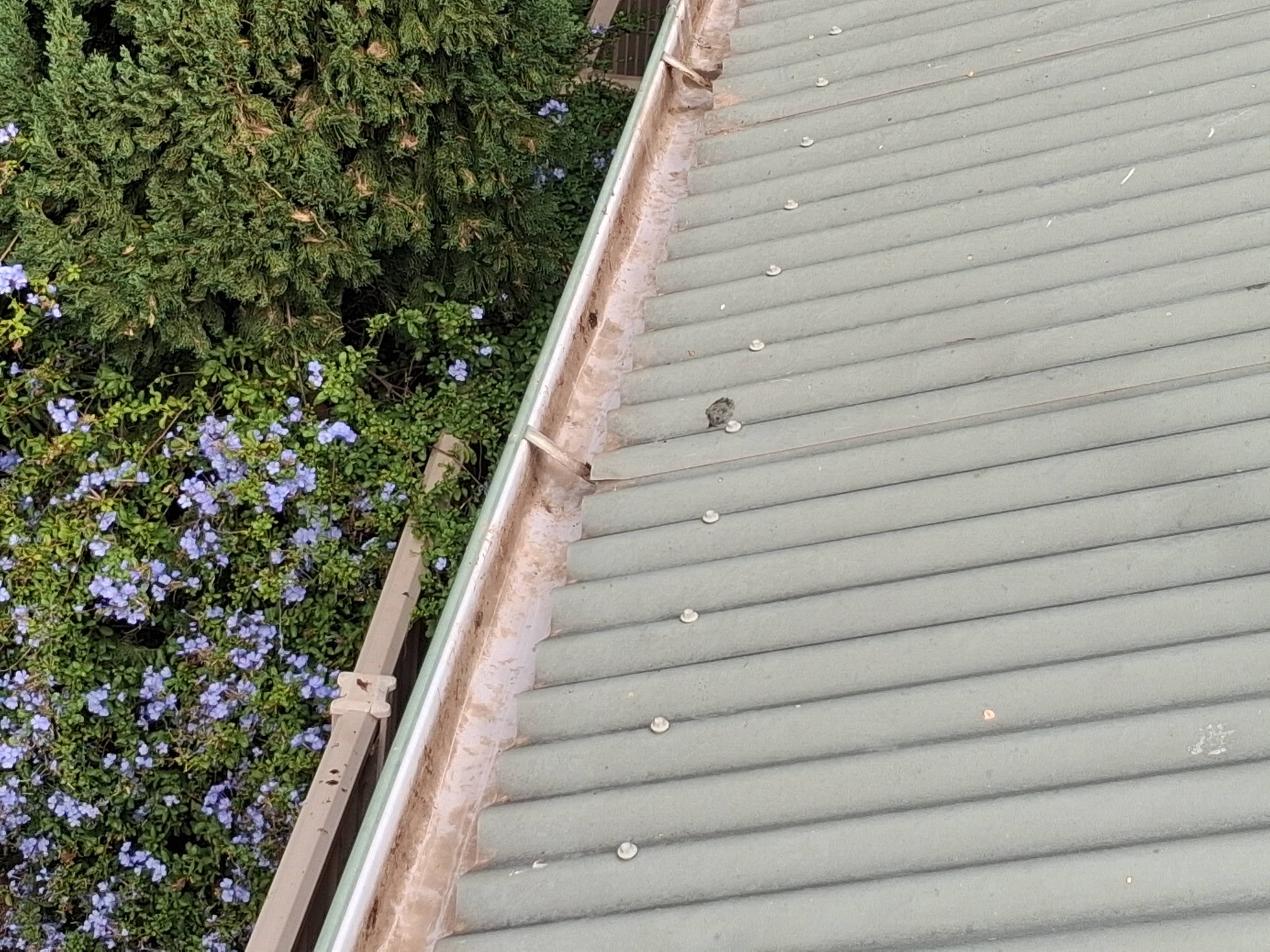Ben's gutters in Kennington after professional gutter clean