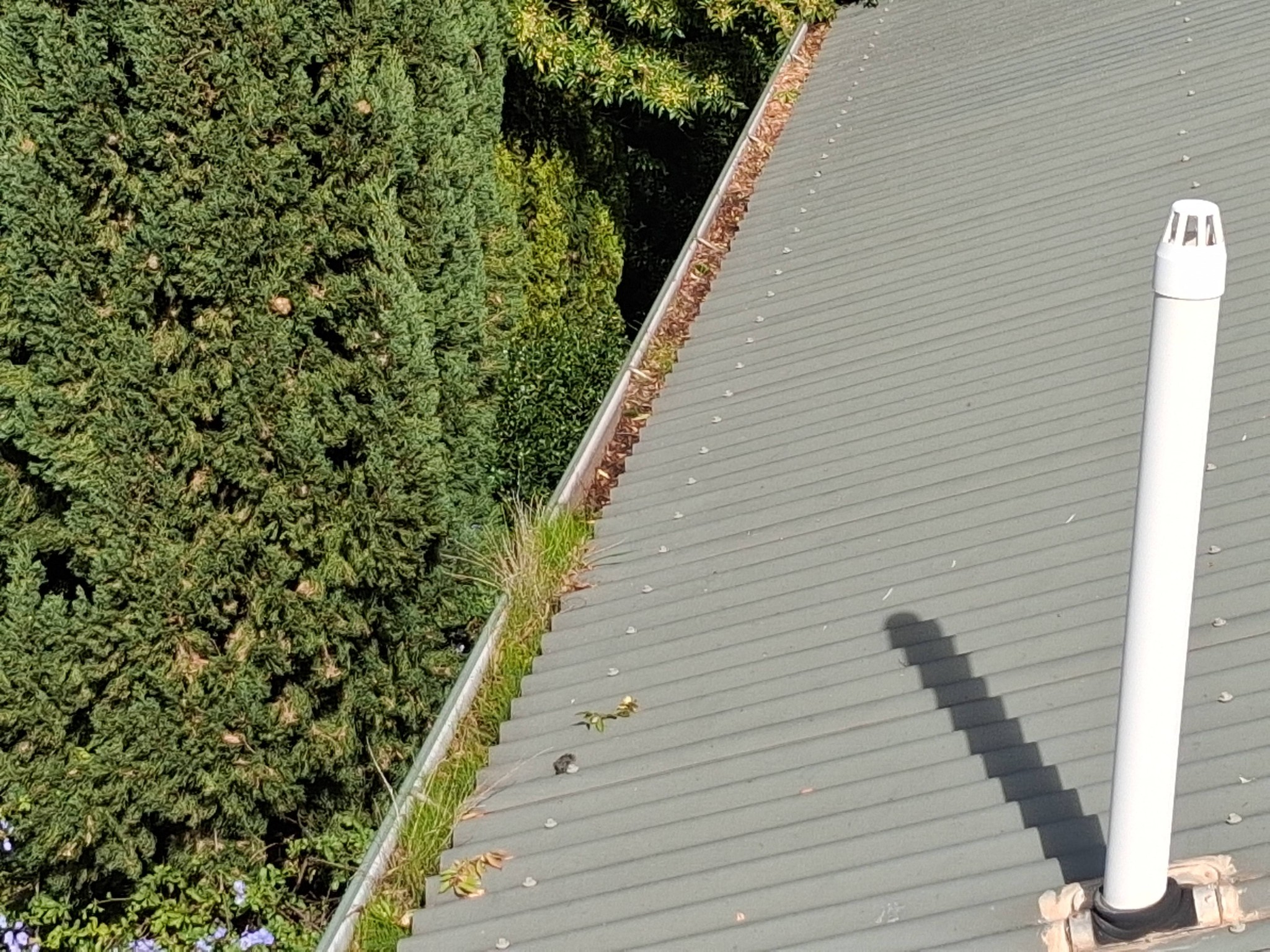 Gutter Clean Kennington