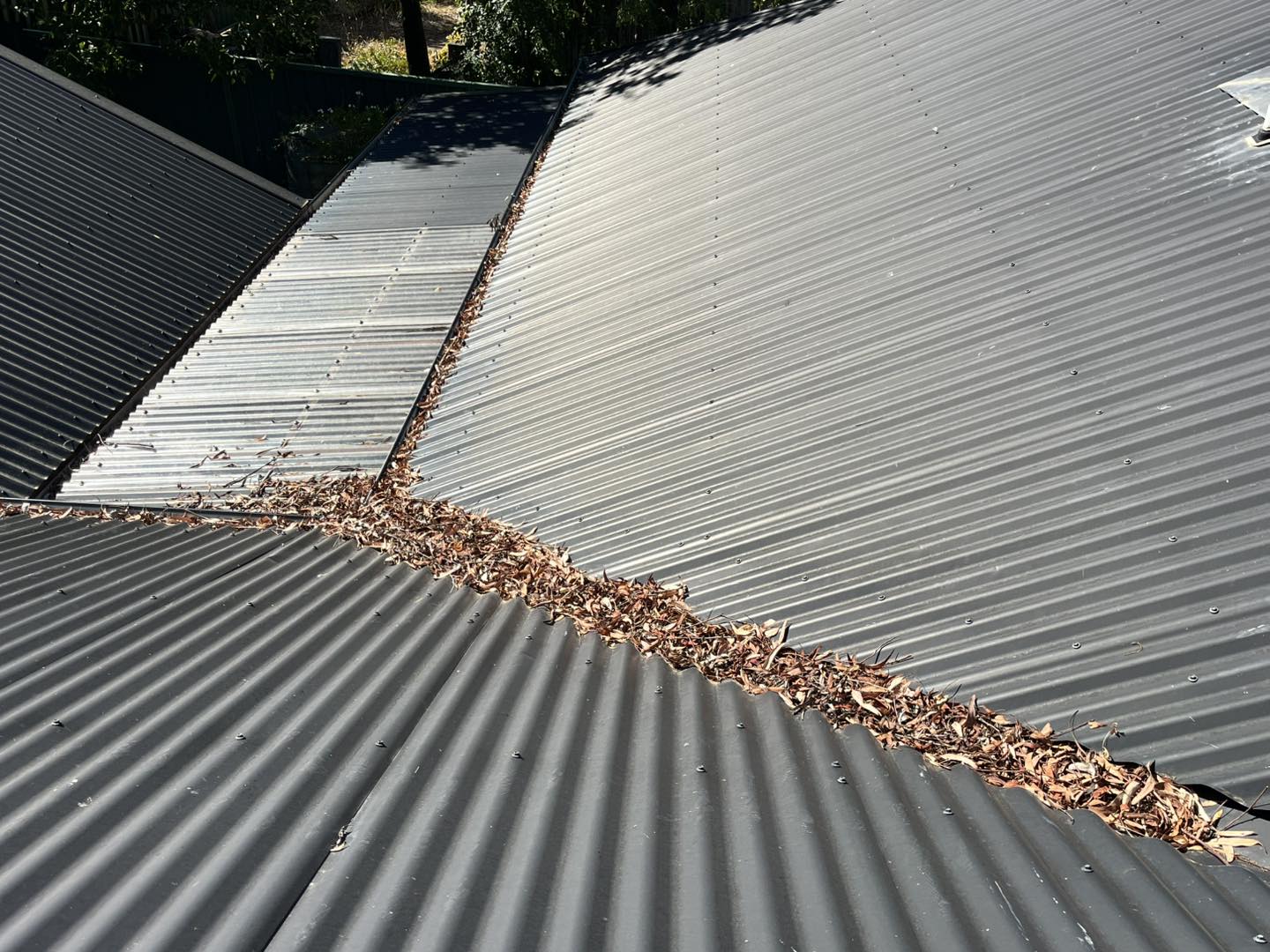 Blocked gutter with leaves before cleaning in Marong Victoria
