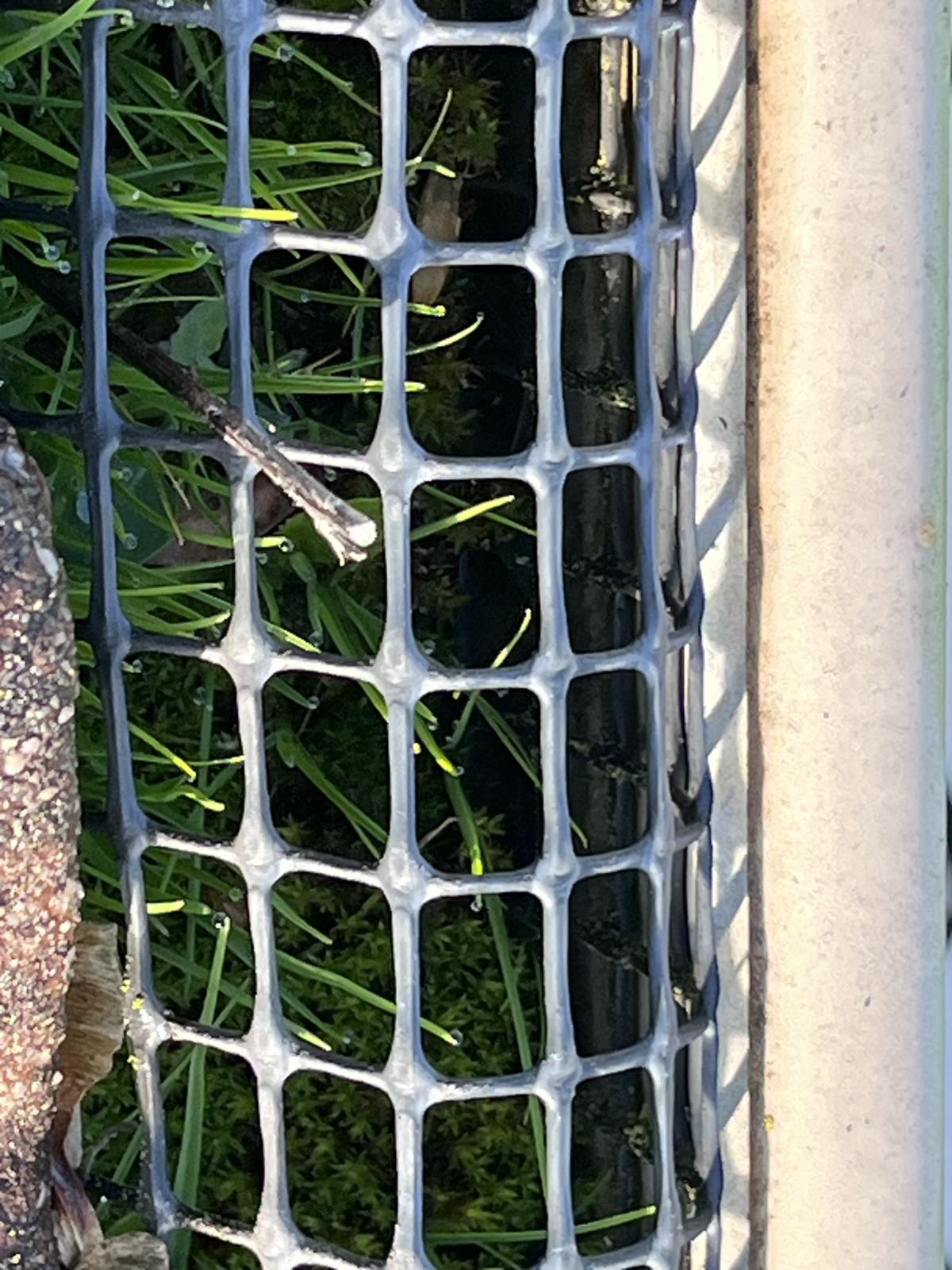 Gutter Clean for Bella Real Estate Castlemaine