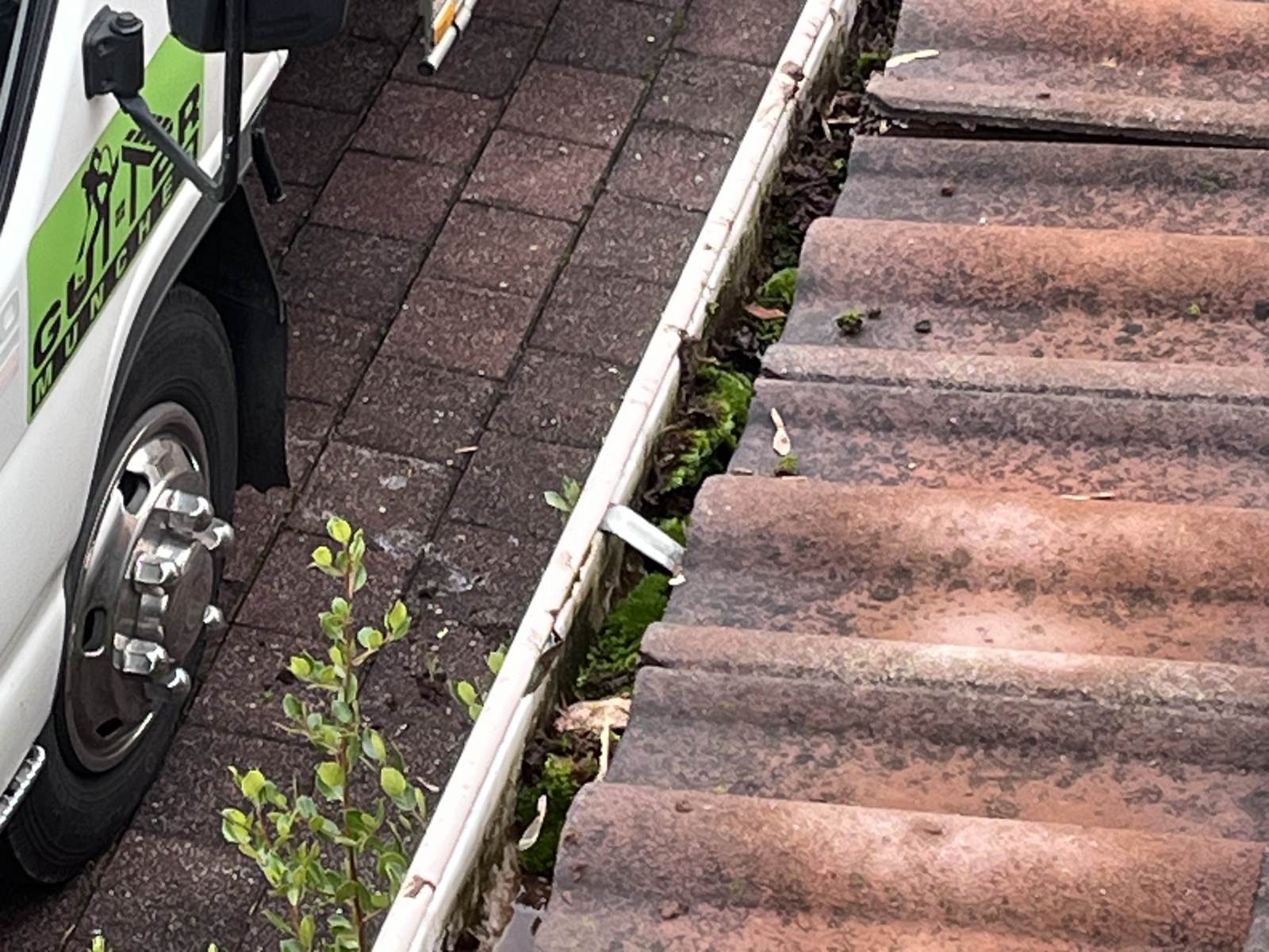 Gutter clean for Bella Real Estate Castlemaine - photo 3