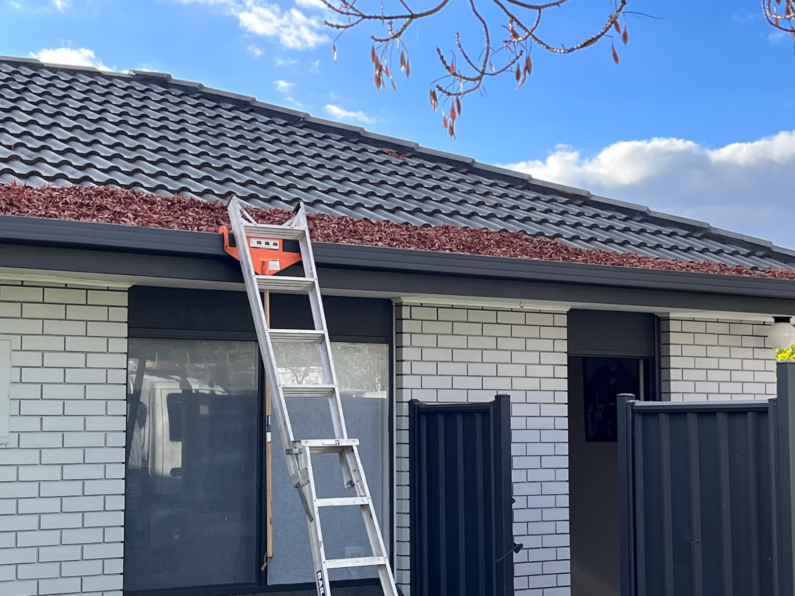Gutter and roof clean Maryborough - photo 2