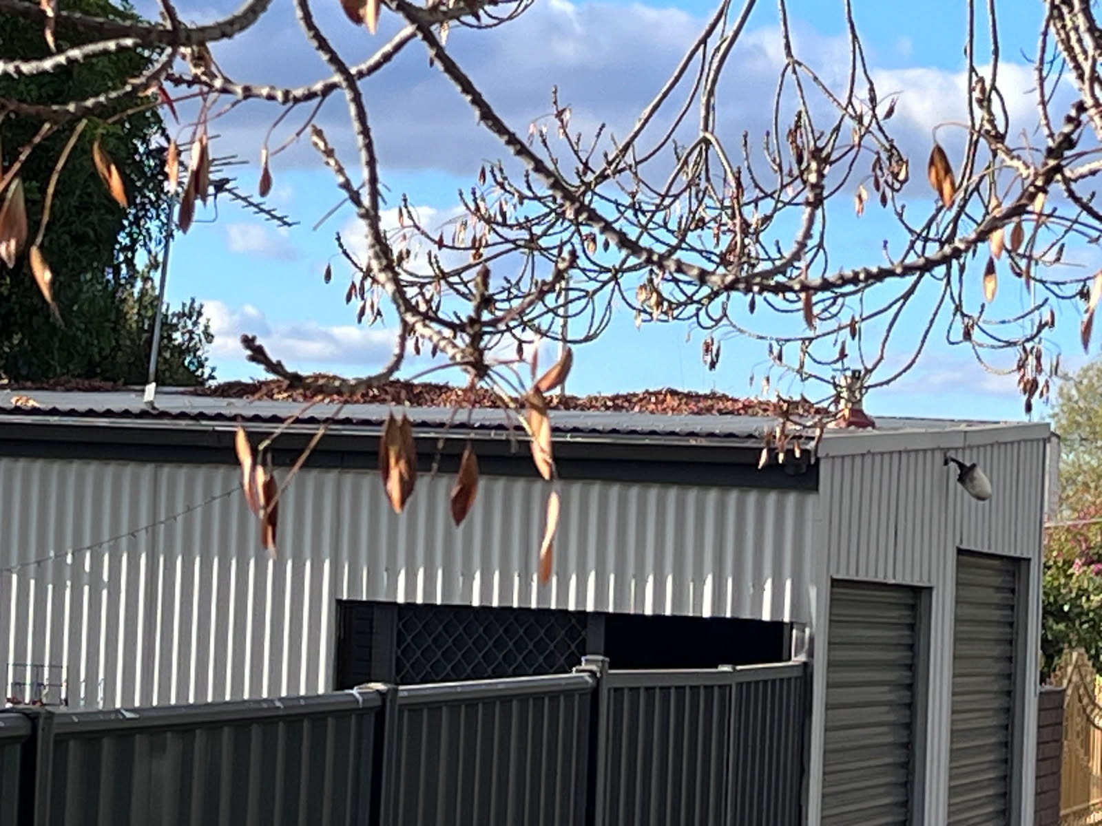 Gutter and roof clean Maryborough - photo 3