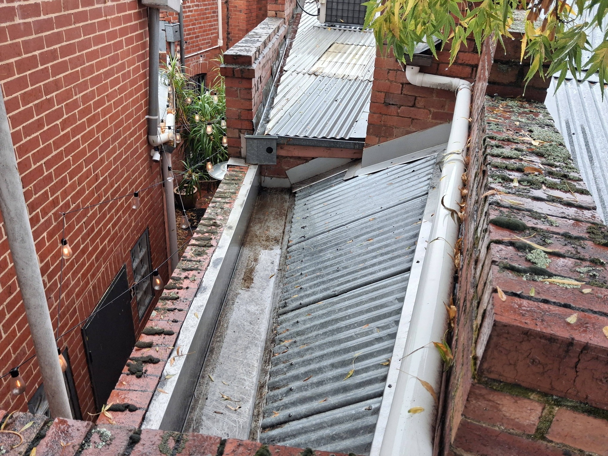 Maldon cafe gutters clean with no leaves — view 2 after cleaning