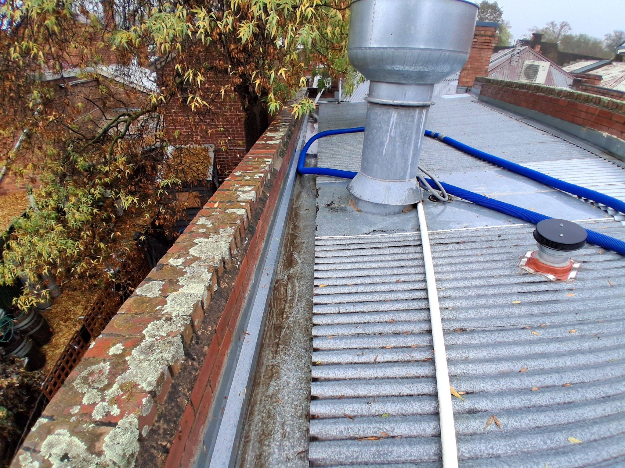 Maldon cafe gutters clean with no leaves — view 3 after cleaning