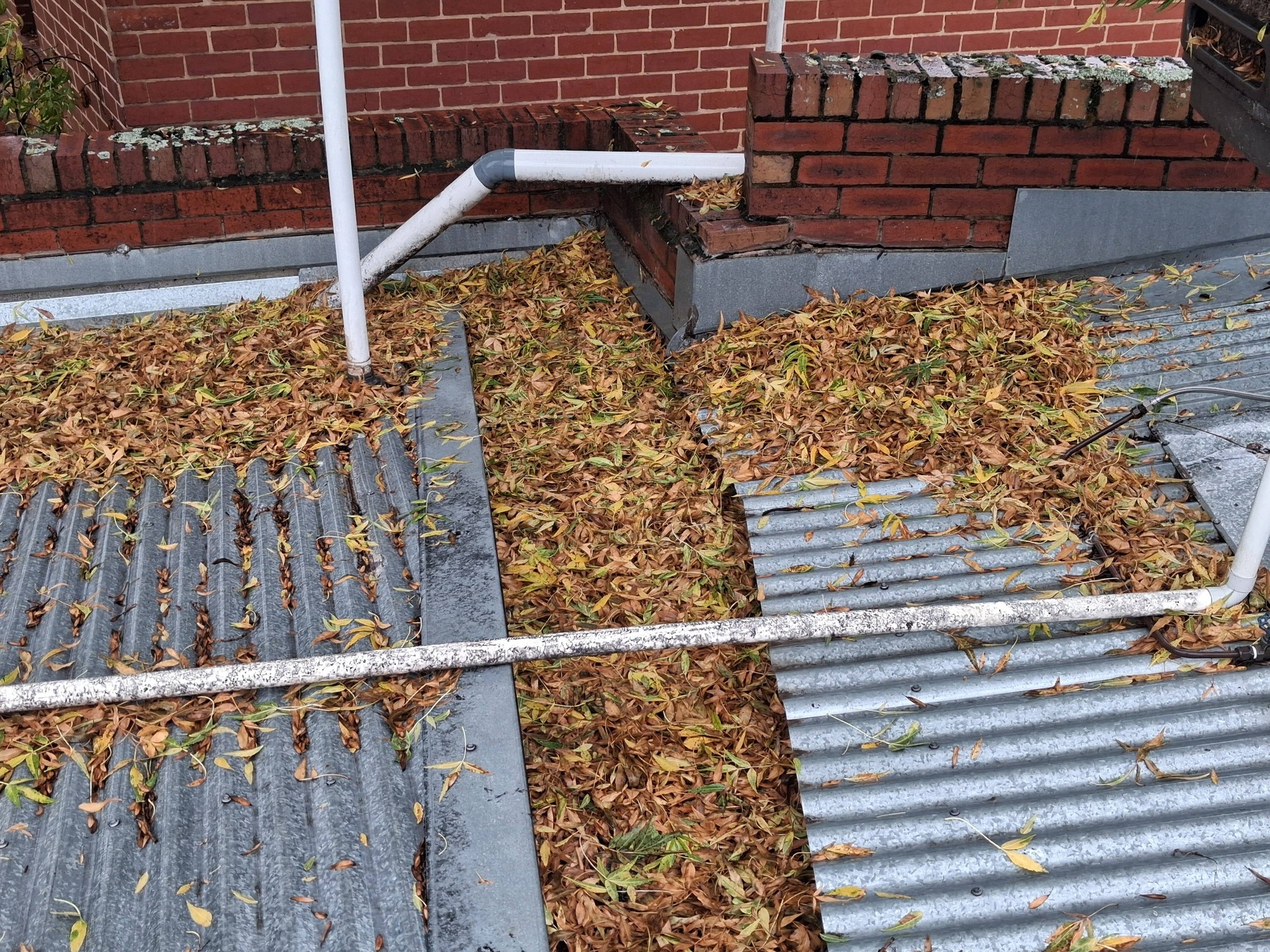 Maldon cafe gutters full of leaves before cleaning
