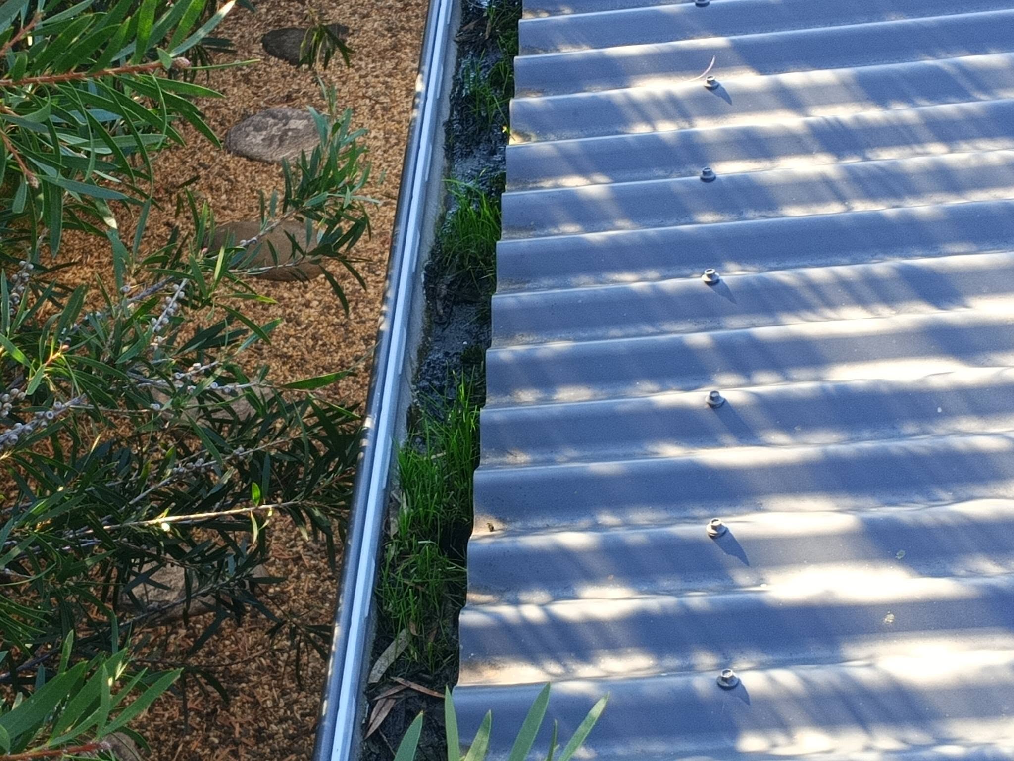 Gutter cleaning in Bendigo with vacuum hose clearing debris from roof gutters
