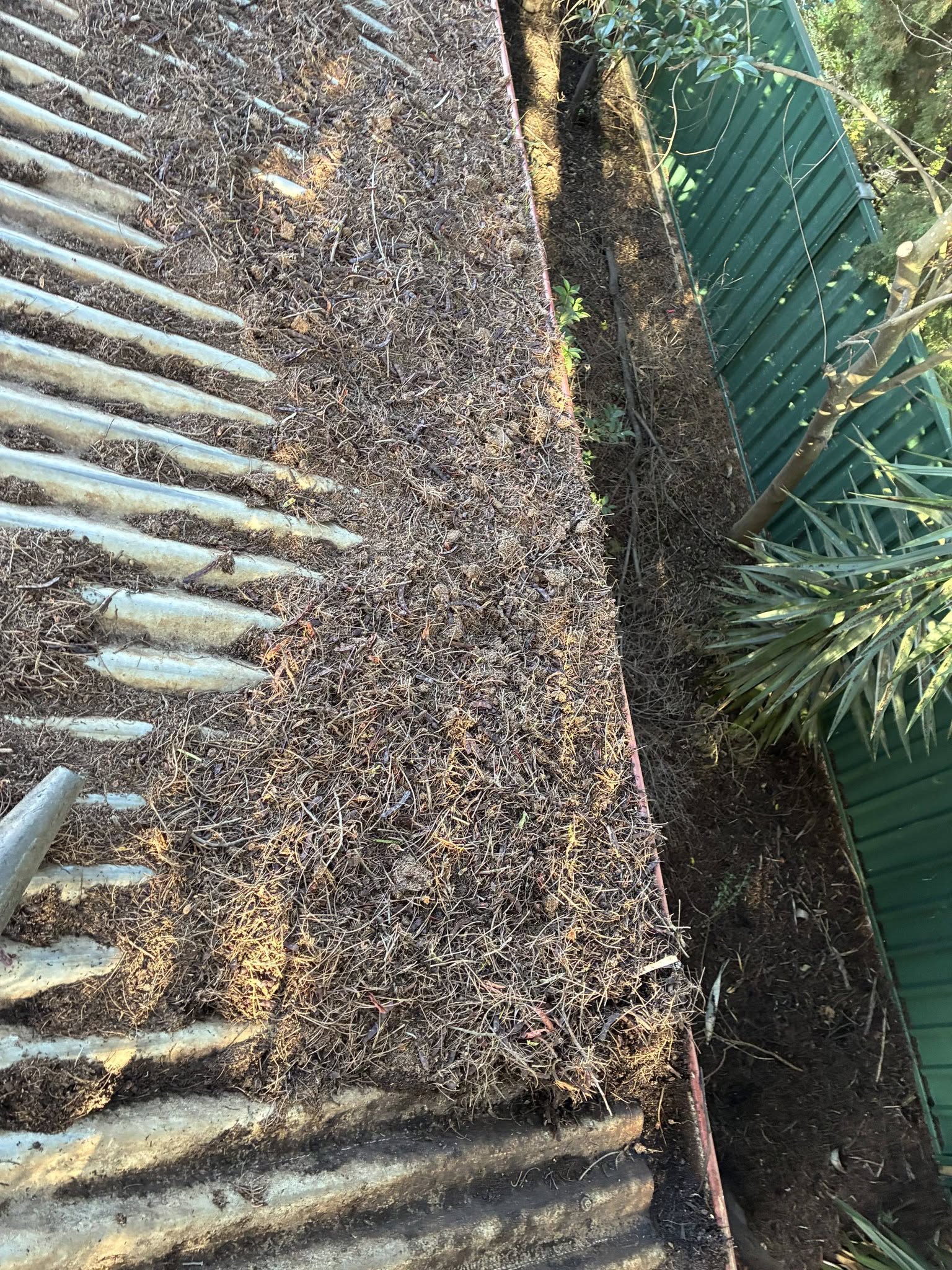 Gutter Clean Eaglehawk