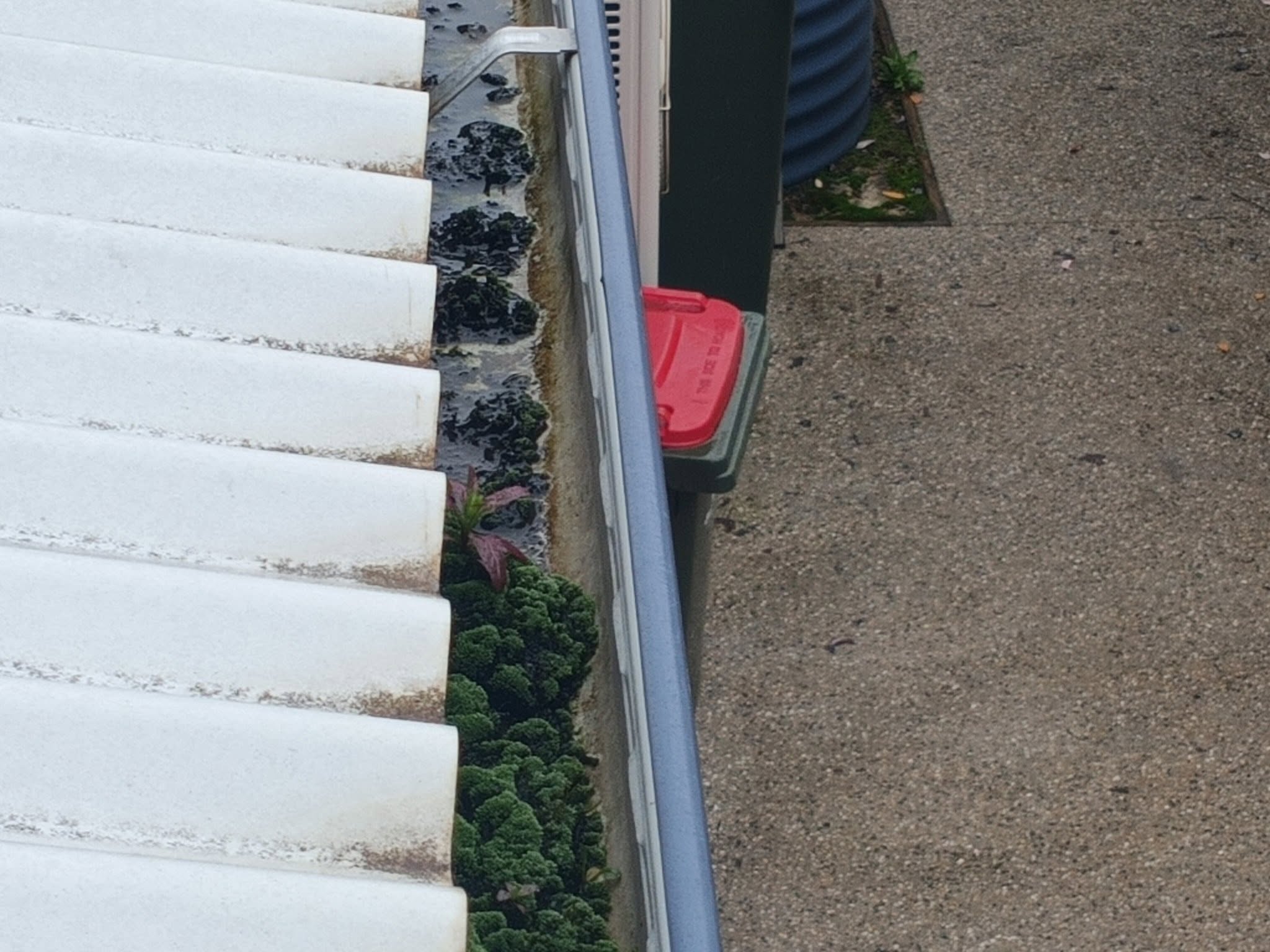 Gutter and Downpipe Clean Castlemaine