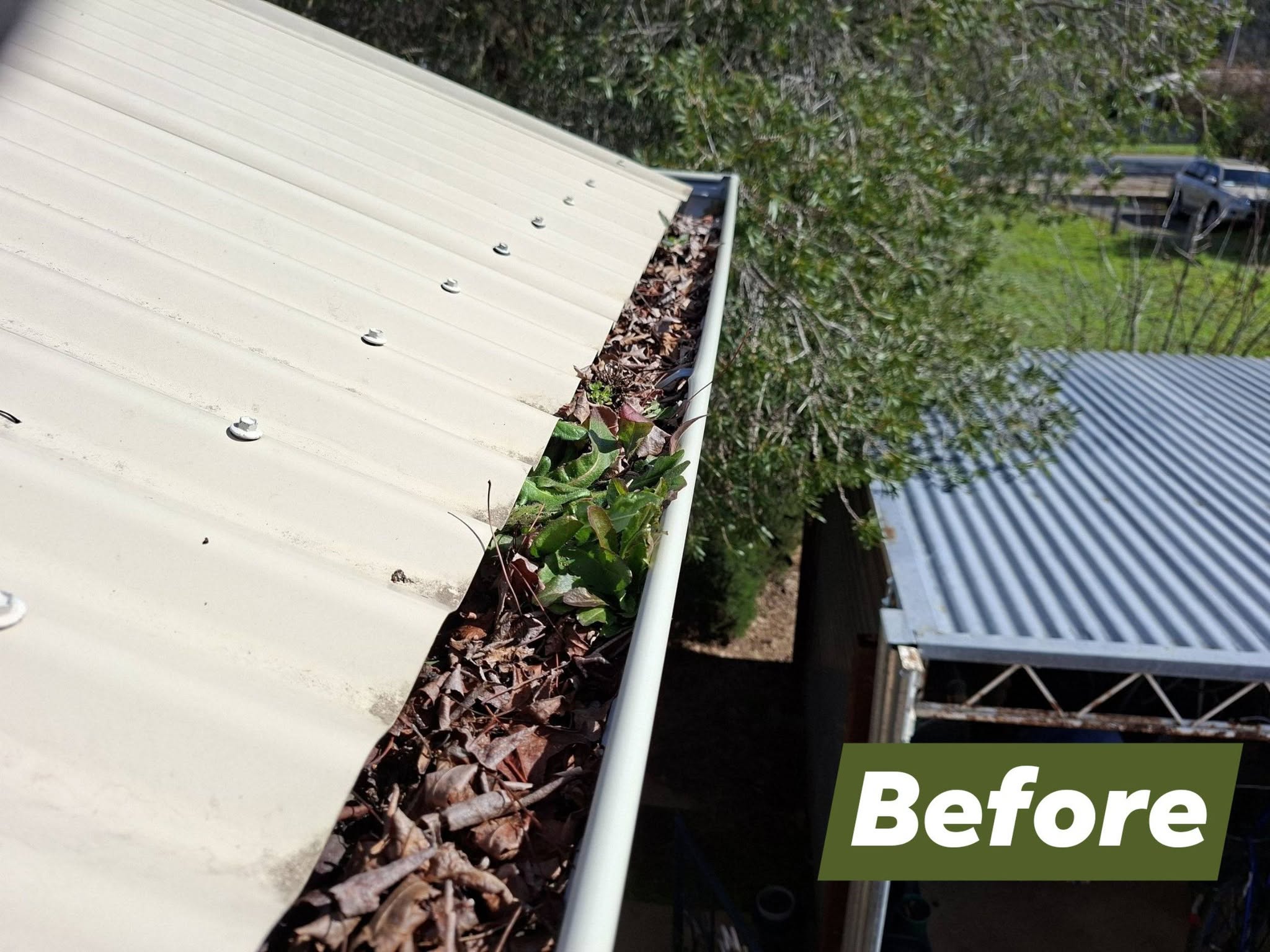 Gutter Clean Campbells Creek