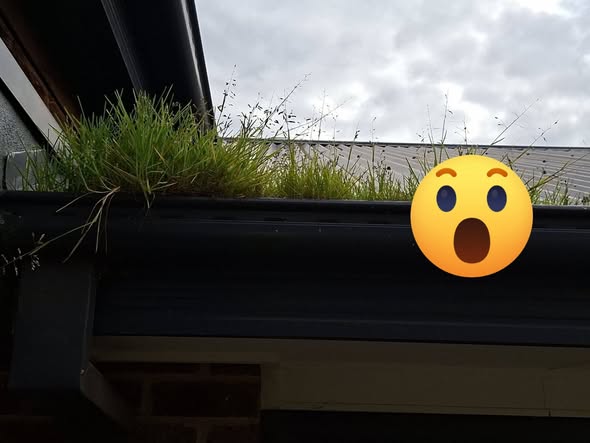 Grass cleared from blocked gutters in Heathcote