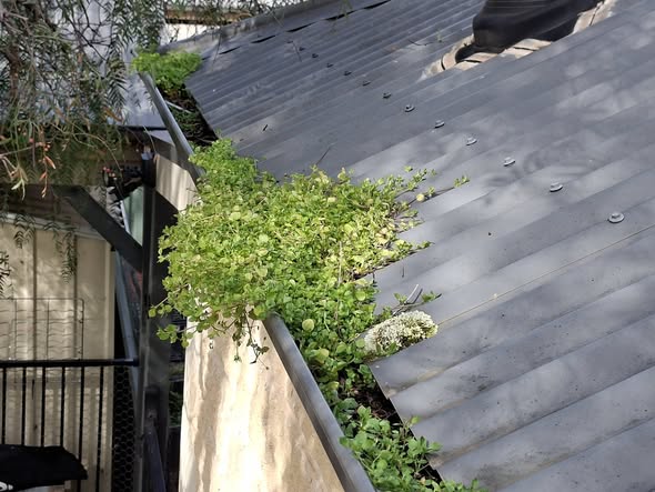 Two gutter cleans completed in one visit in Heathcote
