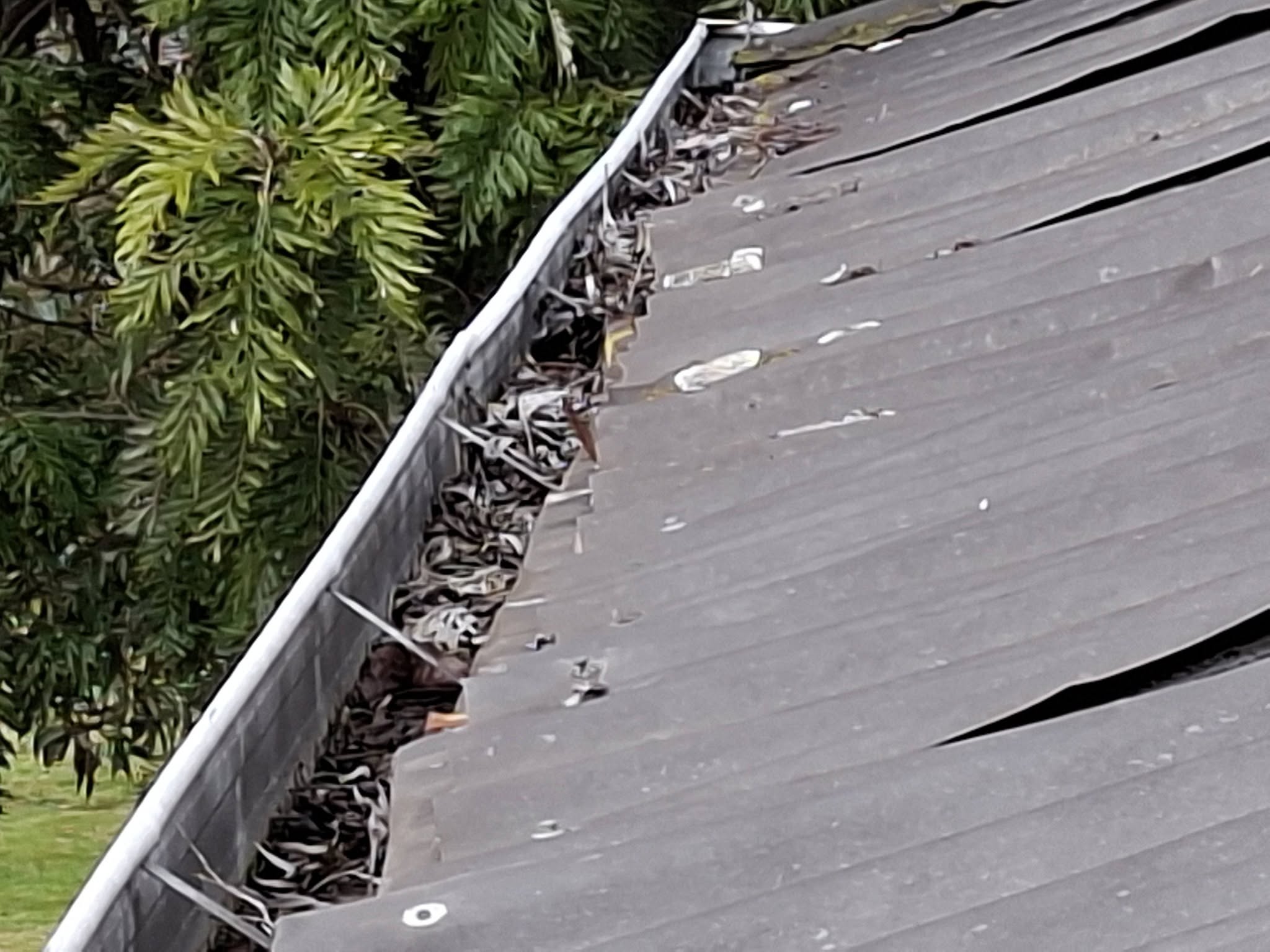 Gutter Clean Saint Arnaud