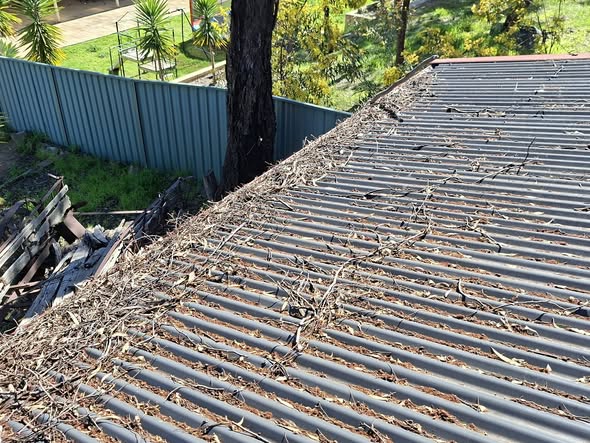 Gutter Clean for Wayne & Maxine — Maiden Gully